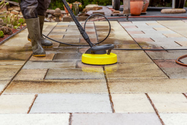Animal Enclosure Cleaning in Hollins, VA
