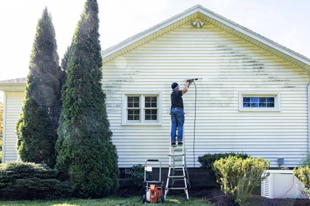 Spring Cleaning in Hollins, VA