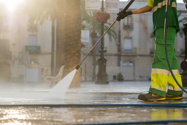 Best Sidewalk and Walkway Cleaning  in Hollins, VA
